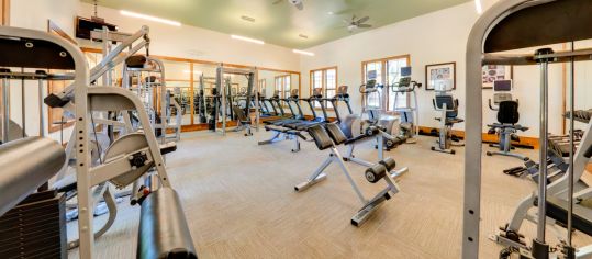 Fitness Center at MAA Lowes Farm luxury apartment homes in Mansfield, TX