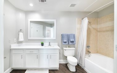 Bathroom at MAA Worthington luxury apartment homes in Dallas, TX