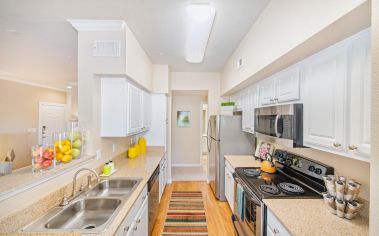 Apartment Kitchen at Park Place Houston luxury apartment homes in Houston, TX