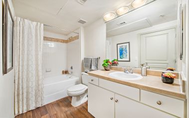 Bathroom at MAA Fall Creek luxury apartment homes in Houston, TX