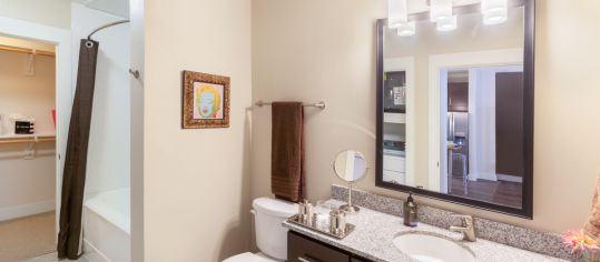 Bathroom at Post 510 luxury apartment homes in Houston, TX