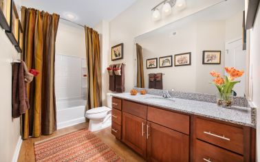 Model Bathroom at Stonefield Commons in Charlotteville, VA