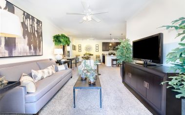Living room at MAA Seasons luxury apartment homes in Fredericksburg, VA