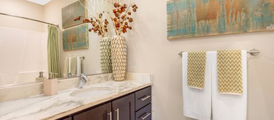 Bathroom at Radius luxury apartment homes in Newport News, VA