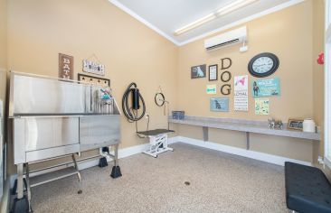 Dog wash at Retreat at West Creek luxury apartment homes in Richmond, VA