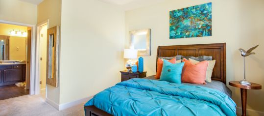 Master Room at Retreat at West Creek luxury apartment homes in Richmond, VA