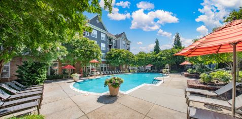 Pool at MAA Fallsgrove in Rockville, MD