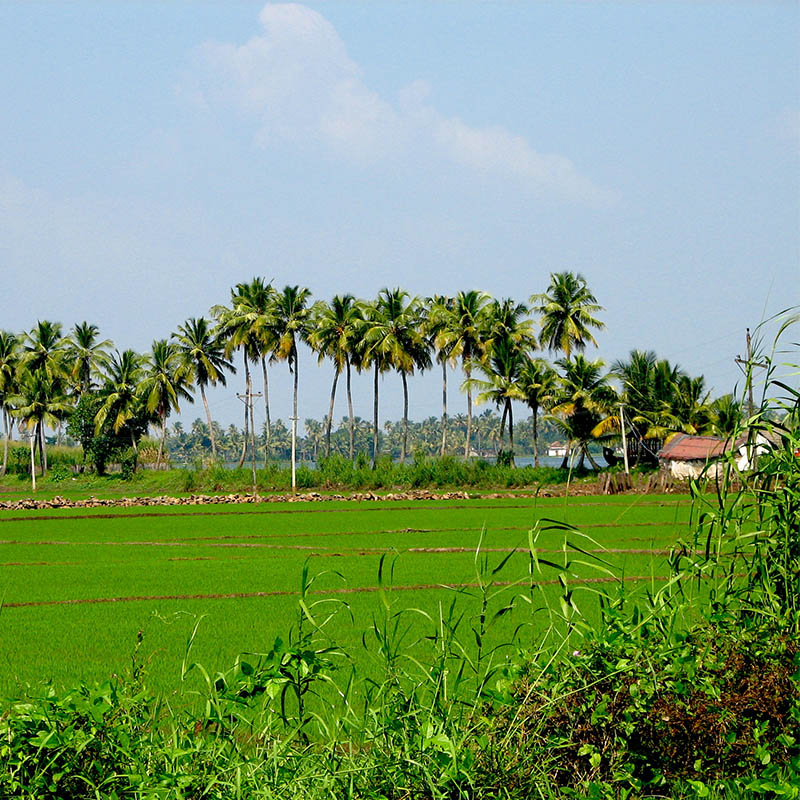 mangarai village