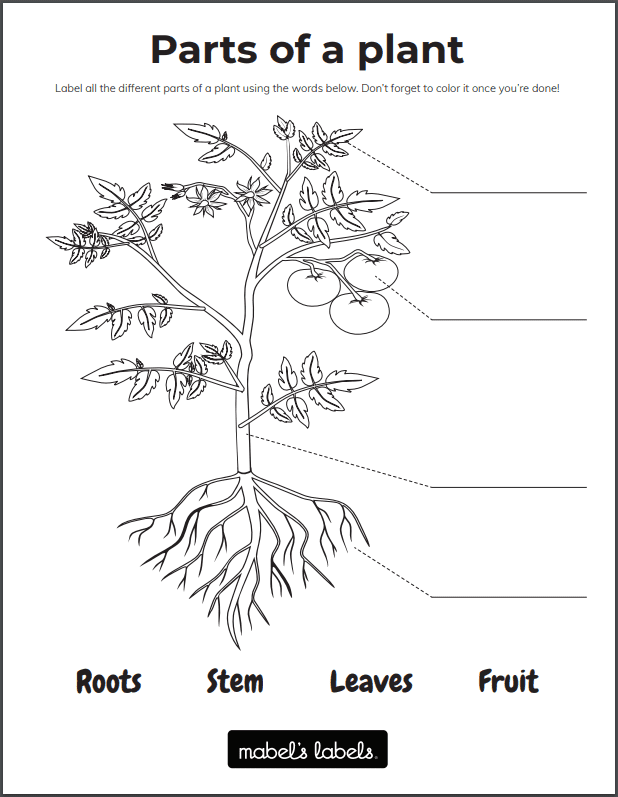 How To Introduce Kids Gardening