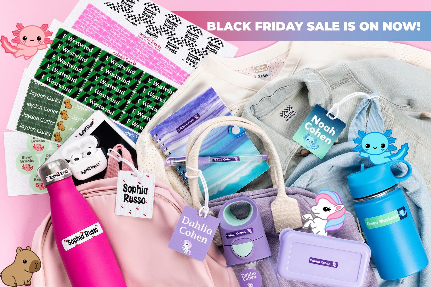 Main promotional banner