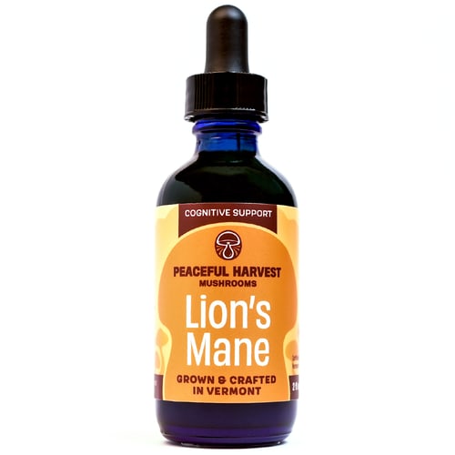 Lion's Mane Mushroom Tincture