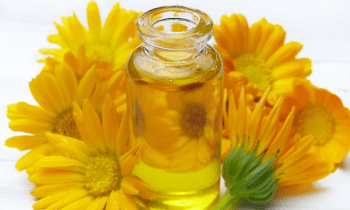 A56geyo13lrskj1jub7s