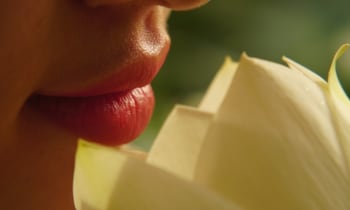 Asio8ldxowiexwjvzsg0