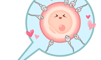 Bnruoh2d9dqom2k3buy9