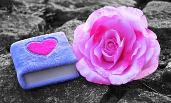 C2tsayxo3gvzhqgzsqkm