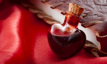 Cidanjpqlyd4vz9kzxnx