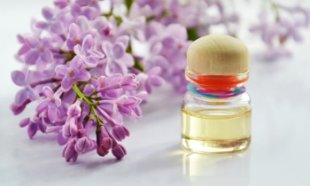 Ctfuwesqilmzl94h65lp