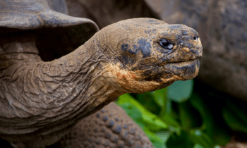 D8ju0y9kiqme5ubqmuft