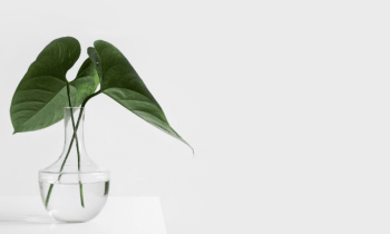 Drlysjvwmwci1jw6ftjp