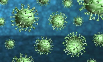 Egrw4re2cccvjgopzxhp