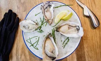 Exrlwp13u43upd8j6w8w