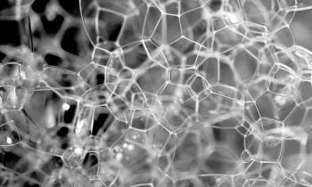 Gwm0tmil065jxjva7knv