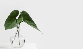 Gwp5klusvh3pdrgio4xi