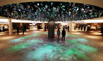 Iqsmsjj60tghanlnxurb