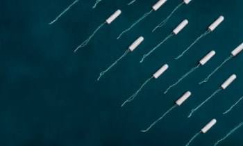 Jacufmf5eddshutkd3b2