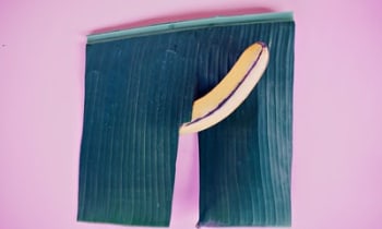 Kkszqcsevfhdd4fo3f40