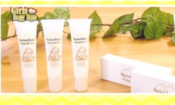 Lj1wa0zv1dgusht7lakl