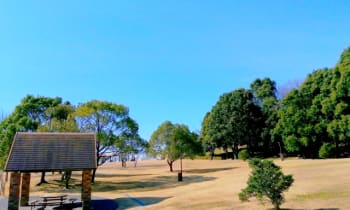 Njalxqnfxgig3pagnhtv