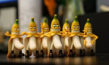 Nwz31miqgablbnz3xmse