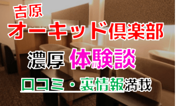 O6ip3lnffqabe2fvlgub