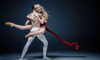 Omk6so7xlre0wm6npg0e