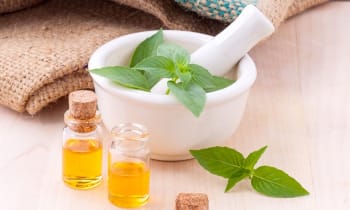 P1vhahg1xwdpdmhmrkuc