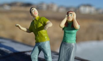 P3lliplof4cdjlfl0co8