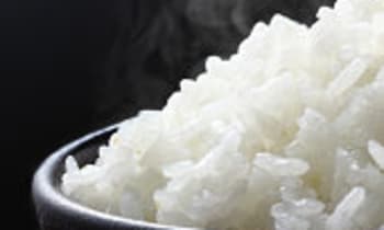 Pdchvgxr6jgm8vs4fqbb