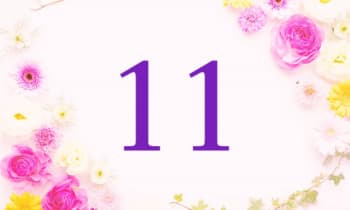 Qectnvoq9v5a7wkxpew3