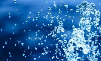 Qg5fiu7zs6lxzmrjde8t