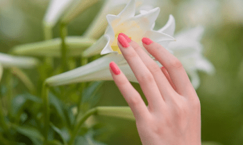 R1cyccrlzroh1clfmqew