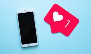 Rvjvz0i9ylbbpw8bjk7c