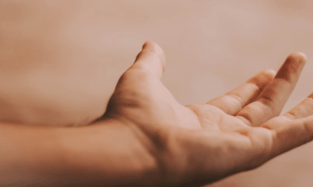 Szdklzykbqhpjaelc5gl