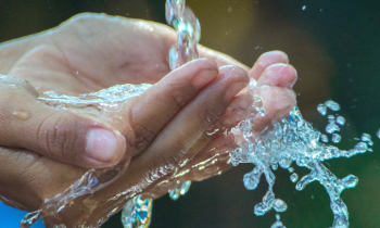 T82mh44vx2xybzw4y7us