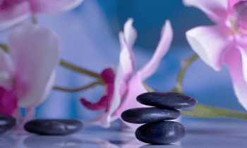 Tevdy1kstoiub9ttbkee