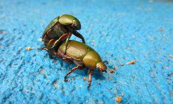 Tj5ojrazsk8uun9ugtel