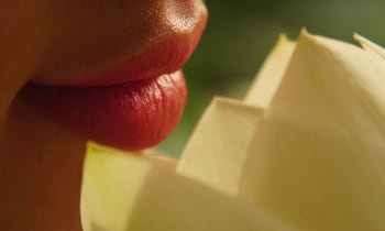 Tmx1dayscaxfsx5nyntm