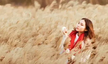 Udsgknzabf4sd1vw1eqx