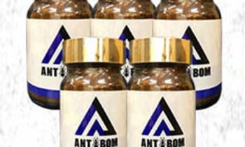 Uu5k3kgescp2a8wby84p