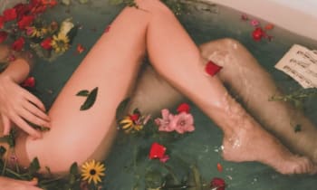 W3qwjuhmewtem5z4dia3